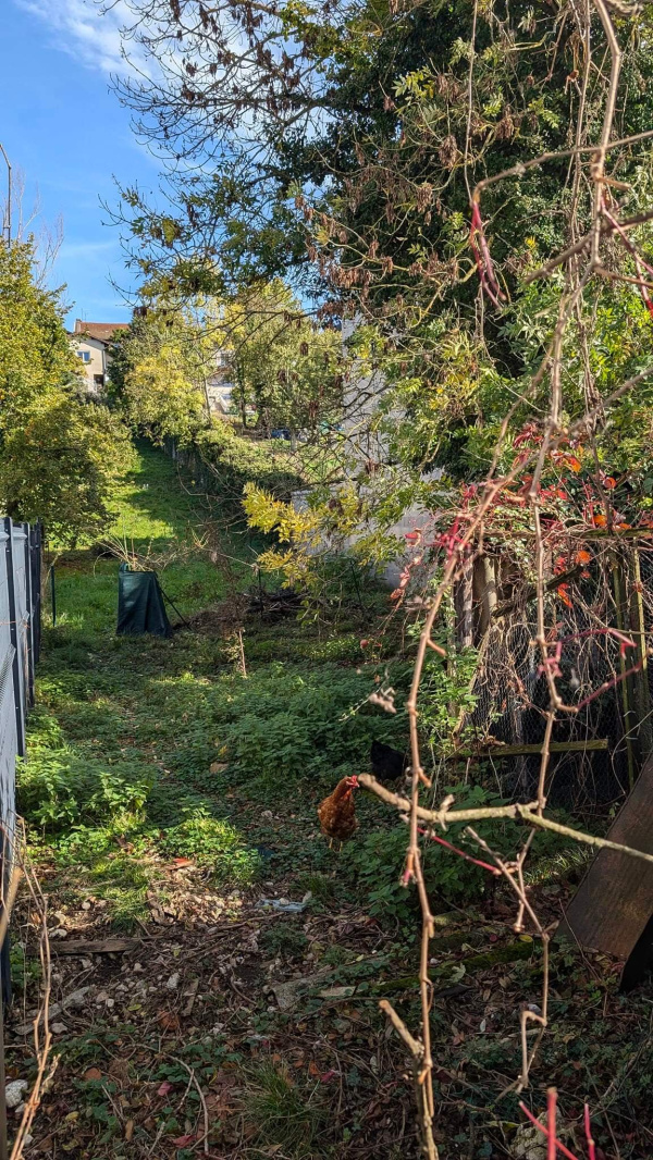 Offres de vente Terrain à batir Ambérieu-en-Bugey 01500