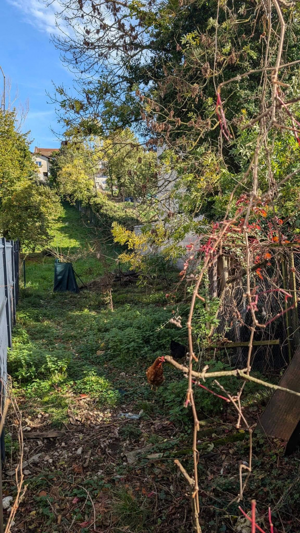 Offres de vente Terrain à batir Ambérieu-en-Bugey 01500